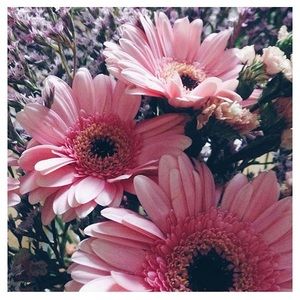 Meet your Posher, Abbie