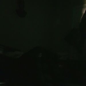 Meet your Posher, Tisha