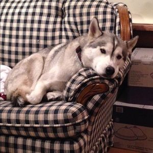 Meet your Posher, Megan