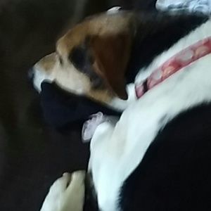 Meet your Posher, Kelsey