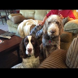 Meet your Posher, Anne