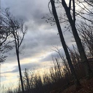 Meet your Posher, Patrice