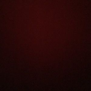 Meet your Posher, Layla