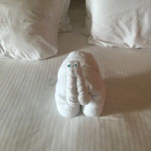 Meet your Posher, Scott