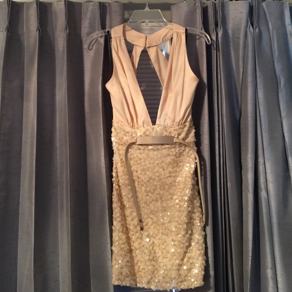 Bebe Dress. Bobbie Sequin Deep V