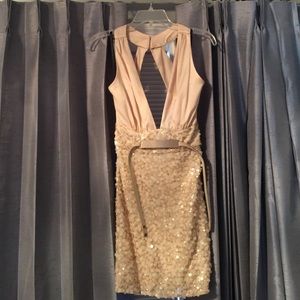 Bebe Dress. Bobbie Sequin Deep V