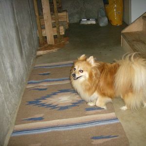 Meet your Posher, Mary