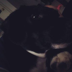 Meet your Posher, Bethanie