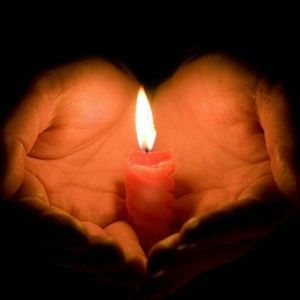 Meet your Posher, Rose