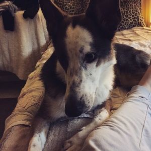 Meet your Posher, Karlee