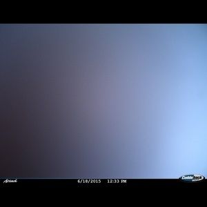 Meet your Posher, Bianca