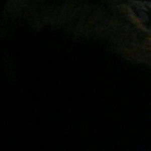 Meet your Posher, Shawn