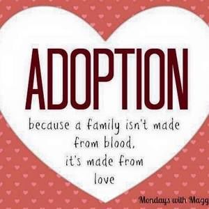 Meet your Posher, Terri