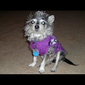 Meet your Posher, Jayme