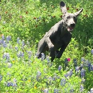 Meet your Posher, Meagan