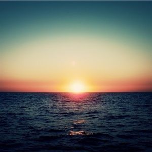 Meet your Posher, Millie