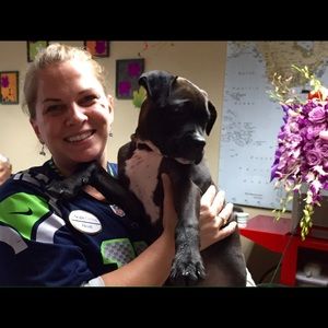 Meet your Posher, Heidi