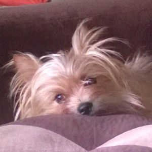 Meet your Posher, Shawn angela