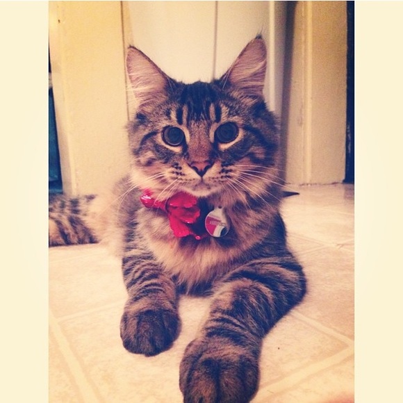 MEET THE SELLER 🌝✨ - Picture 2 of 2