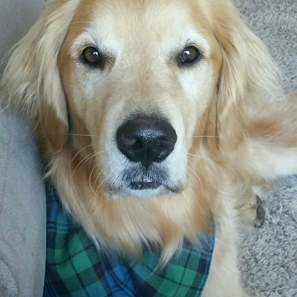 Like this to add as a bookmark. See new items . - Picture 3 of 3