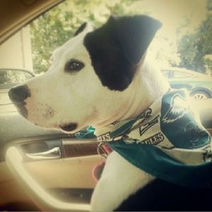 Meet your Posher, Tara