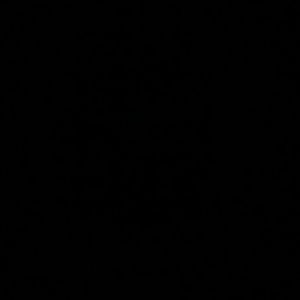 Meet your Posher, Dinora