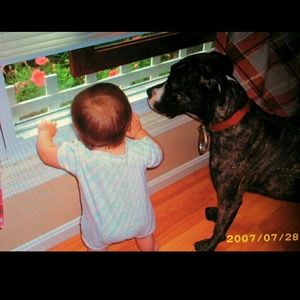 Meet your Posher, Anna