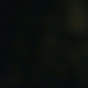 Meet your Posher, Sherry