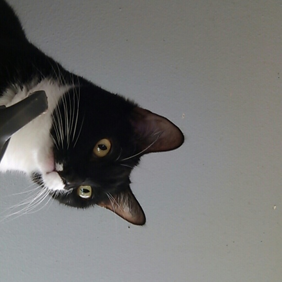 Meet your Posher, Bethany