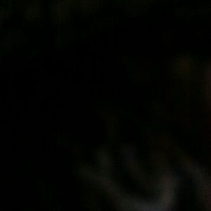 Meet your Posher, Jody