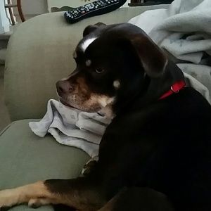 Meet your Posher, Amy