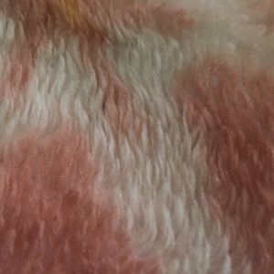 Meet your Posher, Jasmine