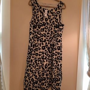 LOFT Dress NWT