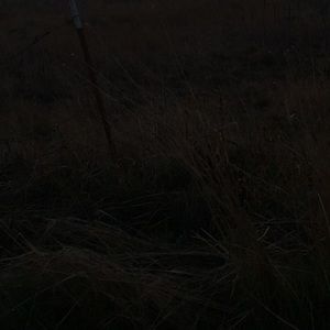 Meet your Posher, Lexi