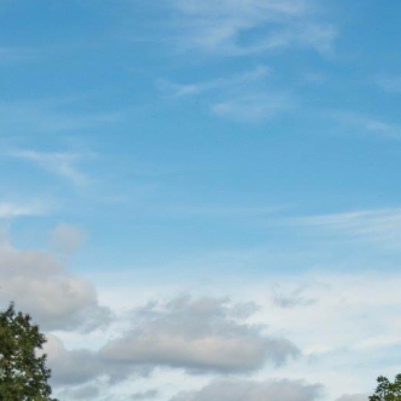 Meet your Posher, Gabrielle - Picture 1 of 1