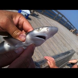 Meet your Posher, Becky