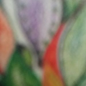 Meet your Posher, Robbin