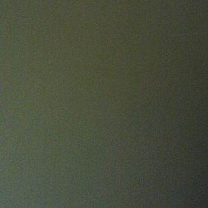 Meet your Posher, Ginger