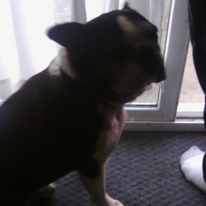 Meet your Posher, Kasey