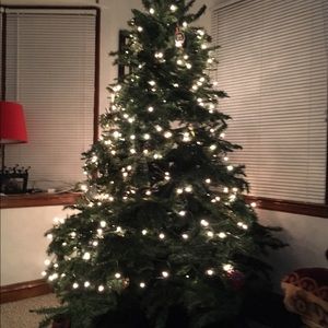 Meet your Posher, Irena