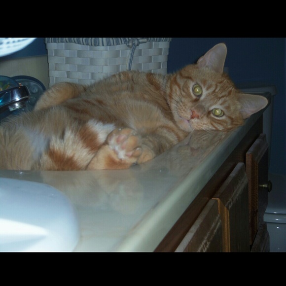 Meet the Posher Other - Meet your Posher, Amanda