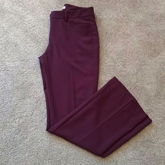 Burgundy dress pant