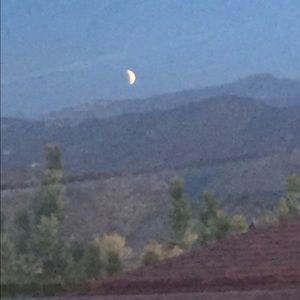 Meet your Posher, Fiona