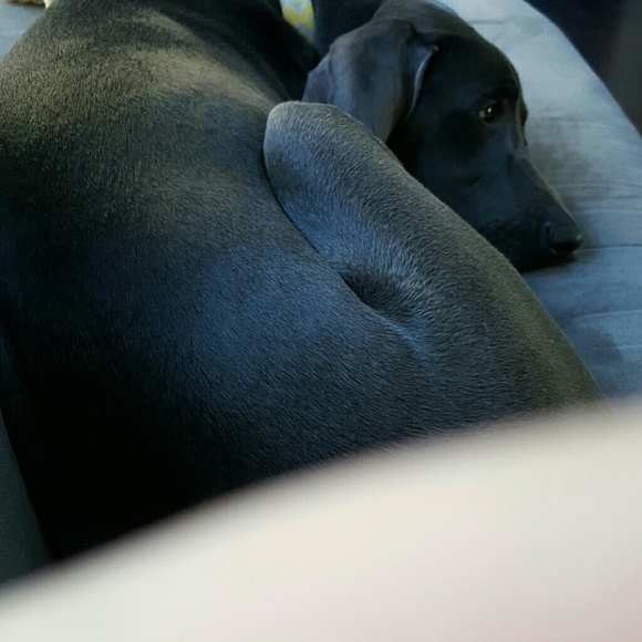 Meet your Posher, Michelle - Picture 1 of 1