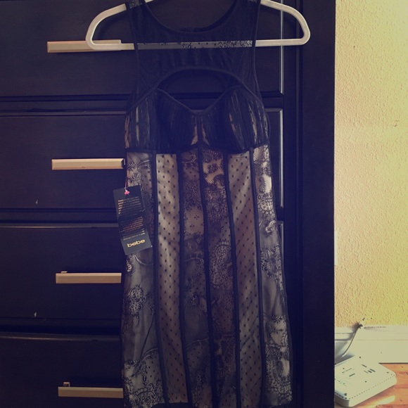 Black & Tan Lace Bebe Dress