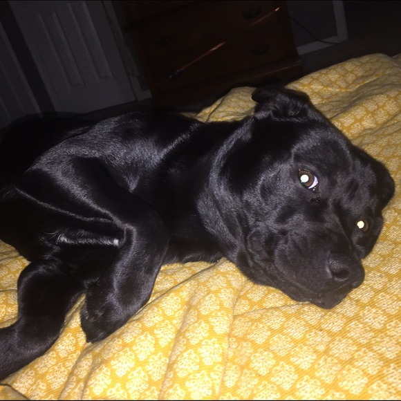 Meet your Posher, Ashley - Picture 1 of 1