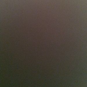 Meet your Posher, Annie