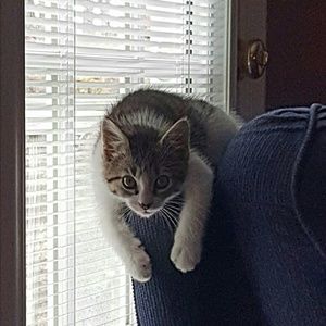 Meet your Posher, Kellie