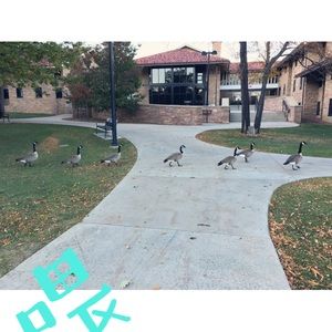 Meet your Posher, Jerry