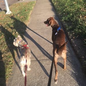 Meet your Posher, Deena